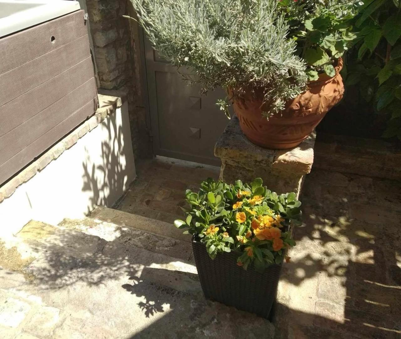 Anemomilos Jacuzzi Suite Corfu  Exteriör bild