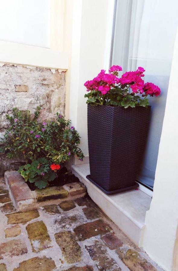 Anemomilos Jacuzzi Suite Corfu  Exteriör bild